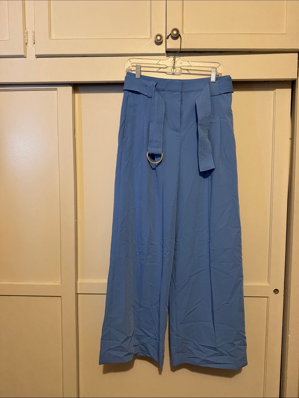 Ann Taylor Soft Blue Wide-Leg Belted Trousers